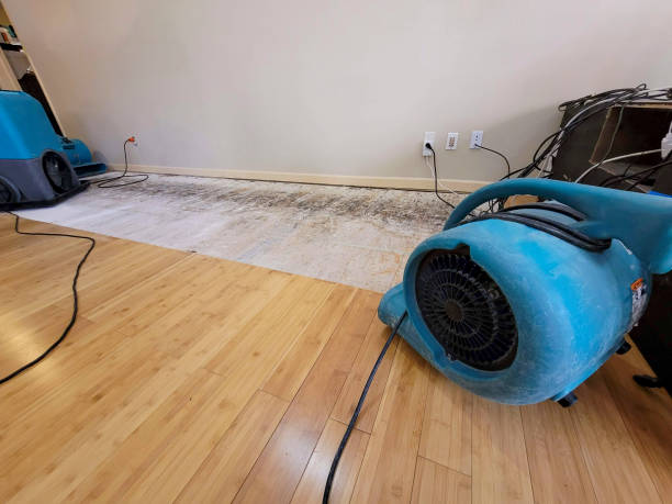 Professional Water Damage Repair technician working in Bellemont, AZ